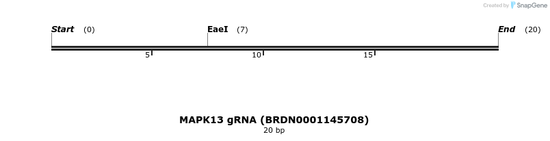 143712_map
