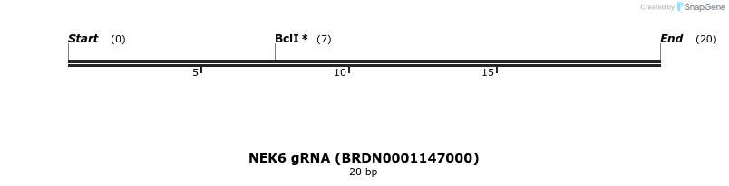 143716_map