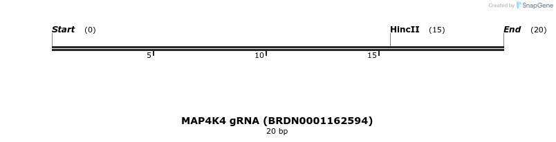 143724_map