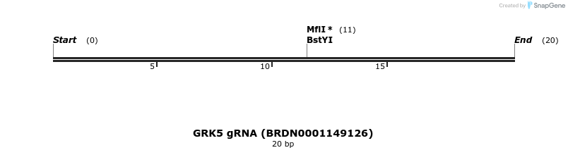 143731_map