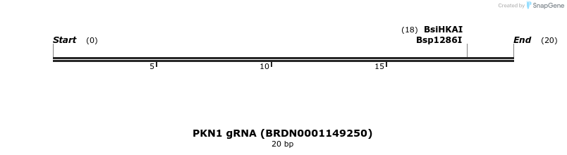 143735_map