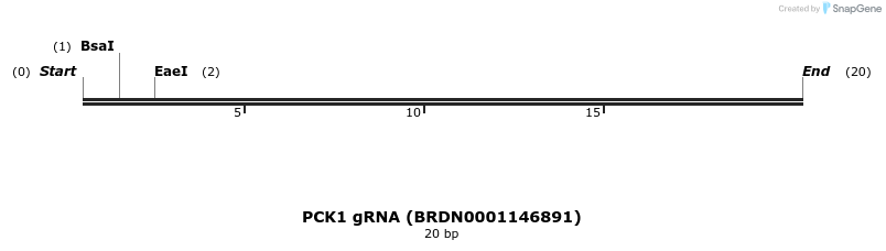 143746_map