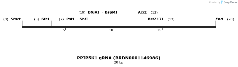 143767_map