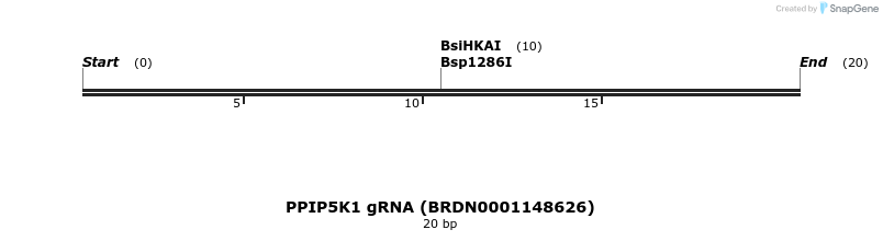 143768_map