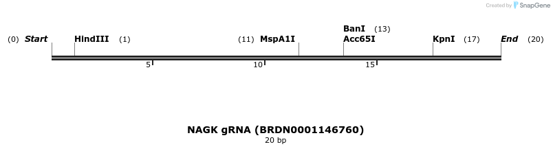 143785_map