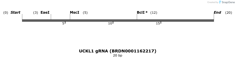143806_map