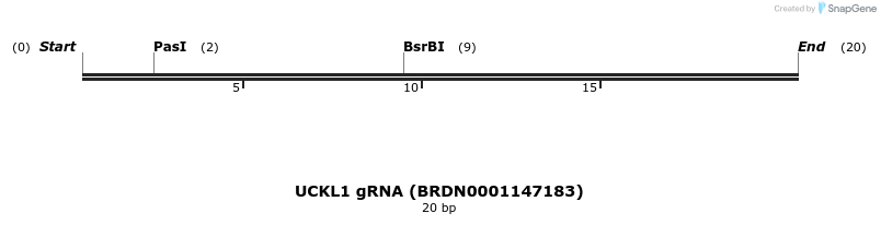 143807_map