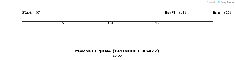 143824_map