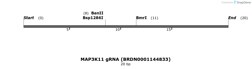143826_map
