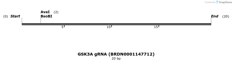 143832_map