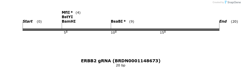143837_map