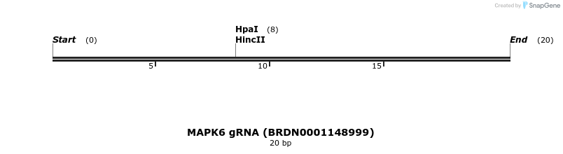 143856_map