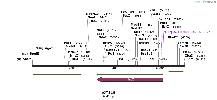 14386_map