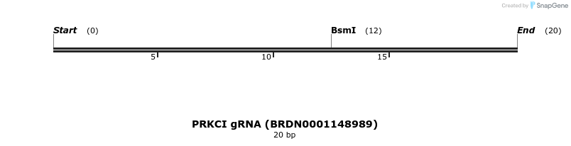 143861_map