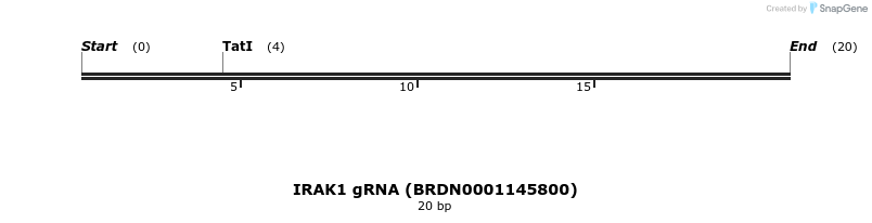 143878_map