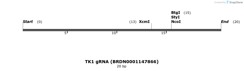 143882_map