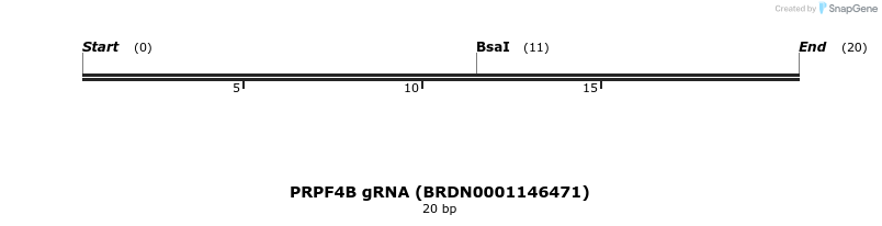 143890_map
