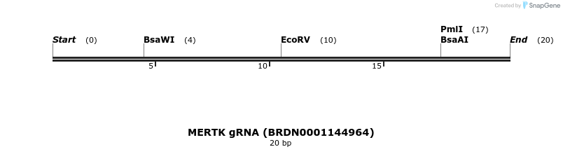 143905_map