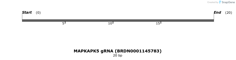143909_map