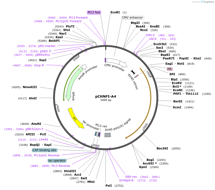 14391_map