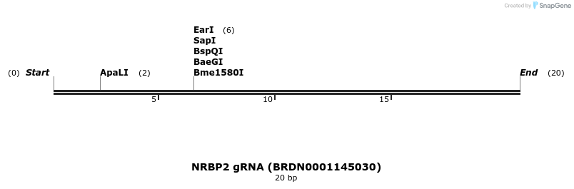 143915_map