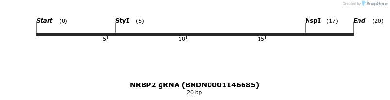 143916_map