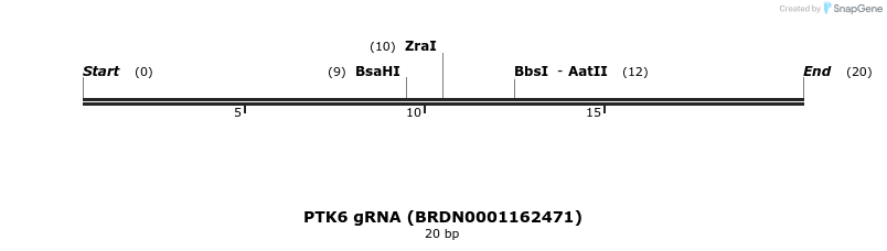 143951_map