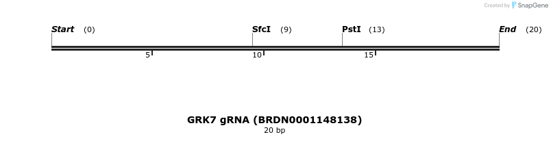 143961_map