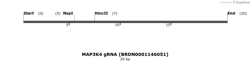 143973_map