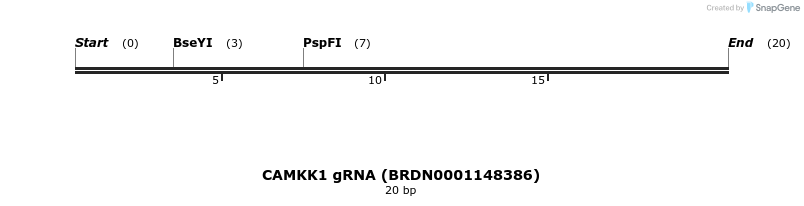 143975_map