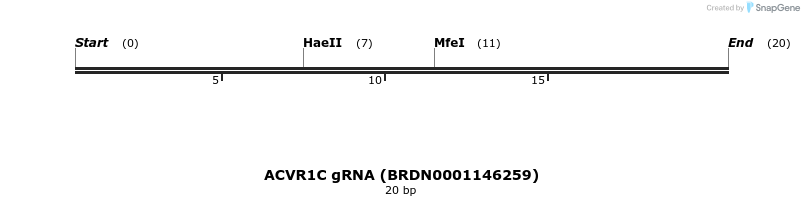 143982_map