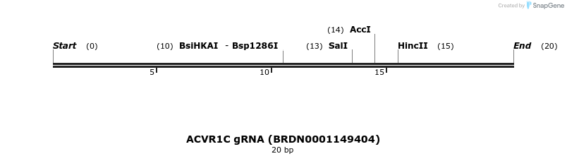 143983_map