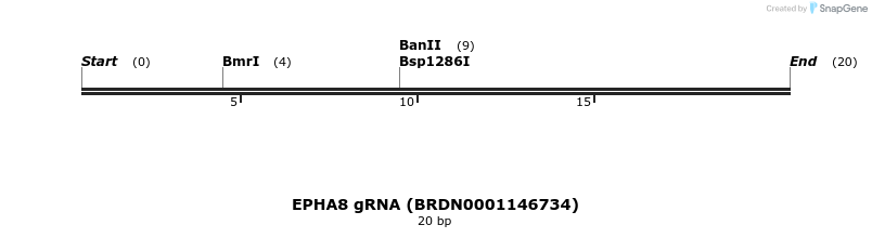 143989_map