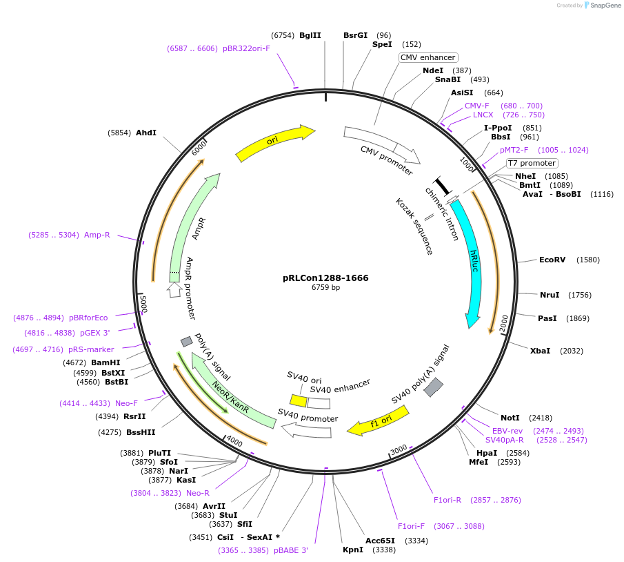 14399_map