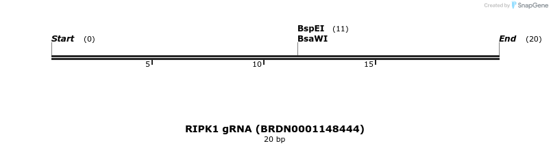143993_map