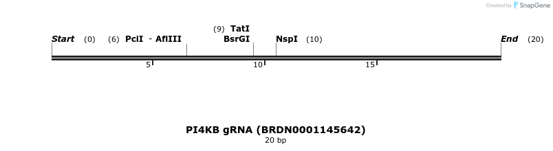 144003_map