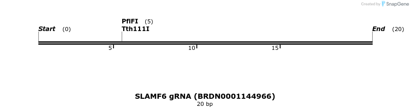 144006_map