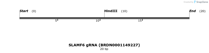 144008_map