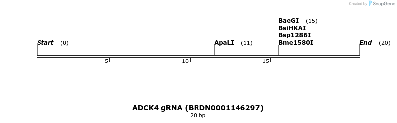144021_map