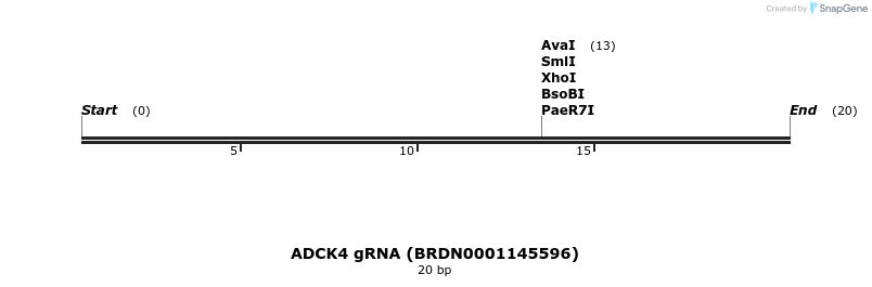 144022_map