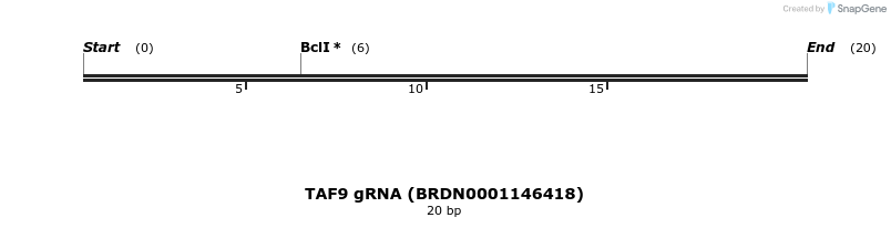 144026_map