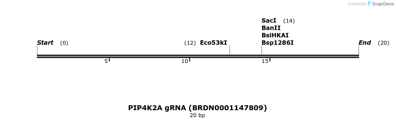144034_map