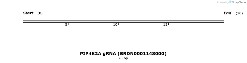 144036_map
