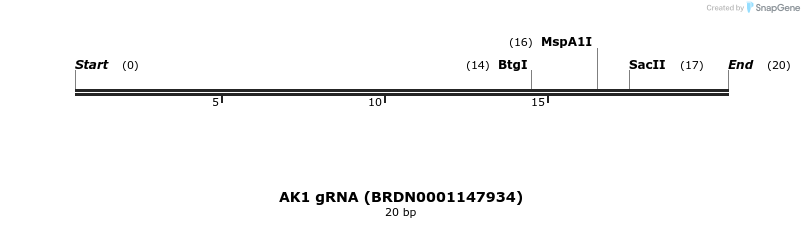 144038_map