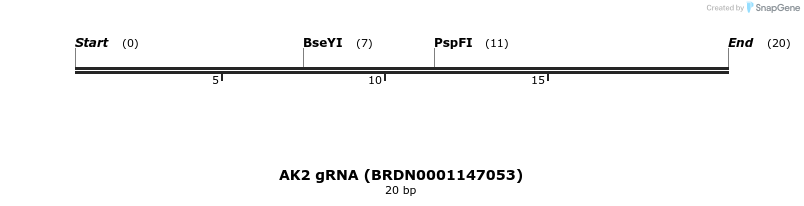 144041_map