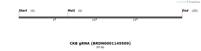 144049_map