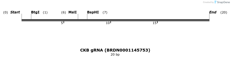 144050_map