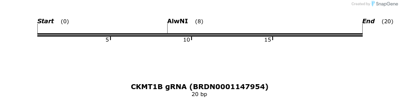 144052_map