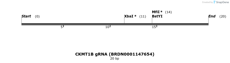 144053_map