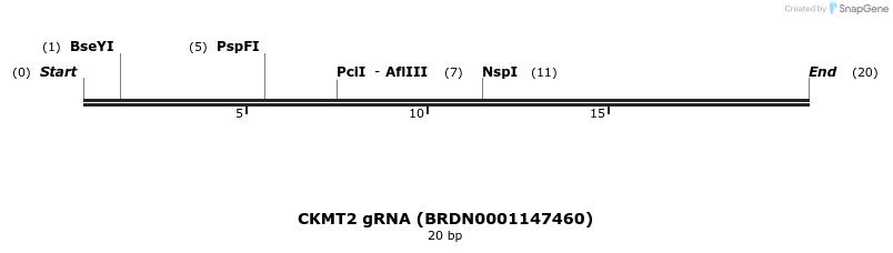144056_map